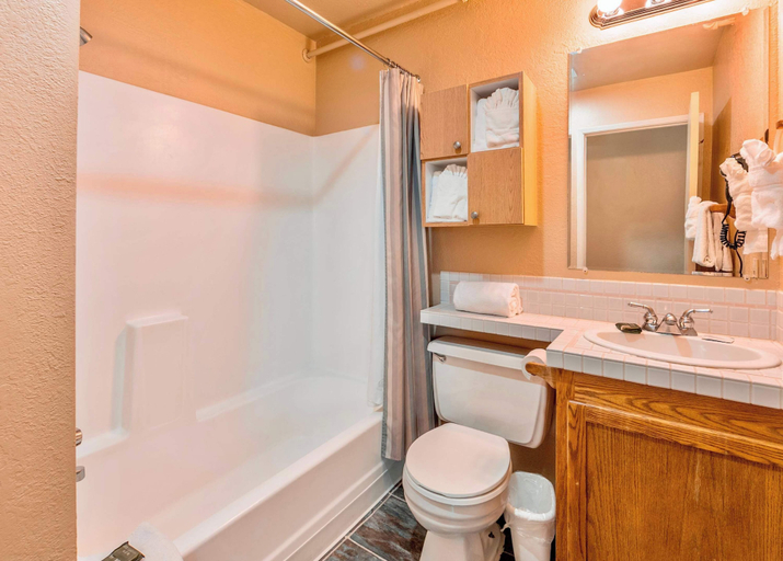 Bathroom 5, Galaxy Way Close to Stagecoach Chair!, Douglas