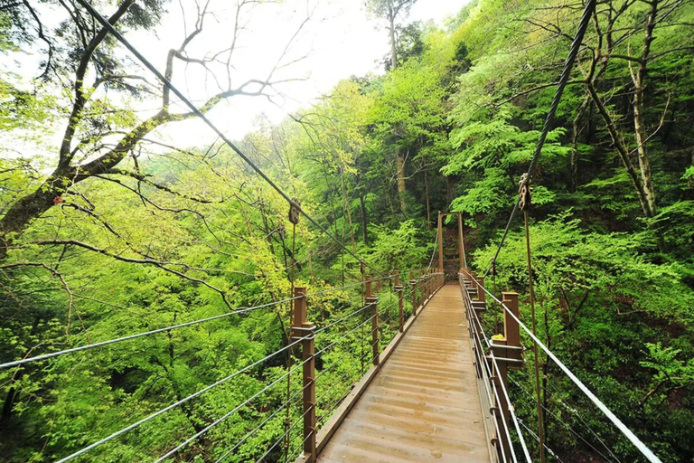 Point of interest 5, KT2 Blossom Garden103, Hino