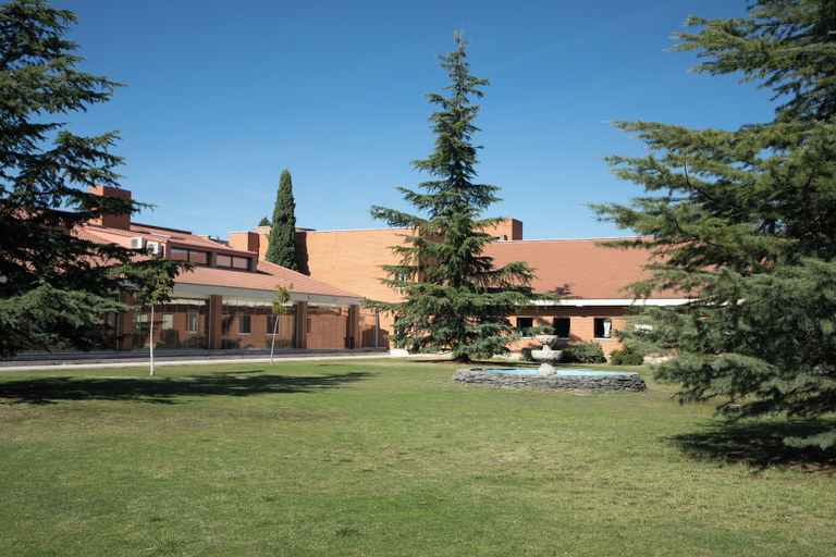 Primary image