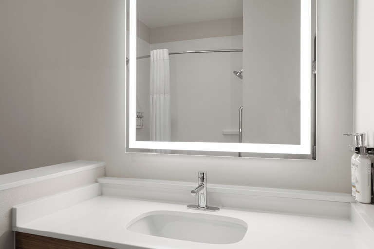 Bathroom 5, Holiday Inn Express & Suites Meridian I-20, Lauderdale