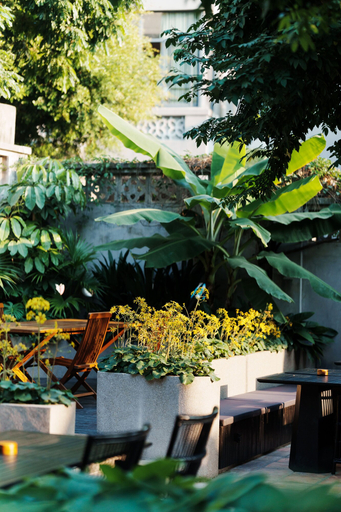 Courtyard view 4, ANMO Hotle, Xiamen