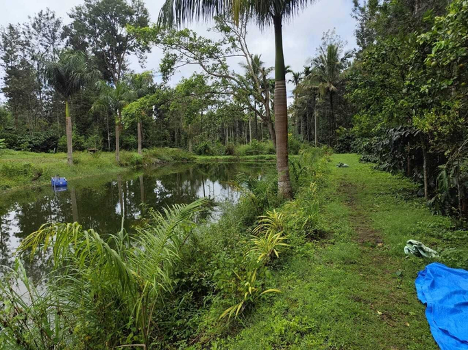 Garden 4, Rising Surya Homestay, Kodagu