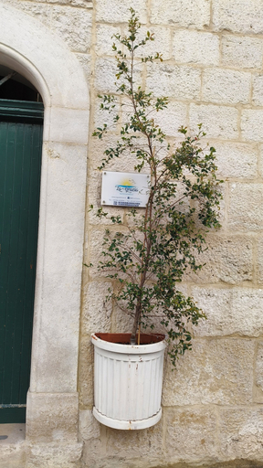 Exterior & Views 2, La Grazia Trani, Barletta-Andria-Trani