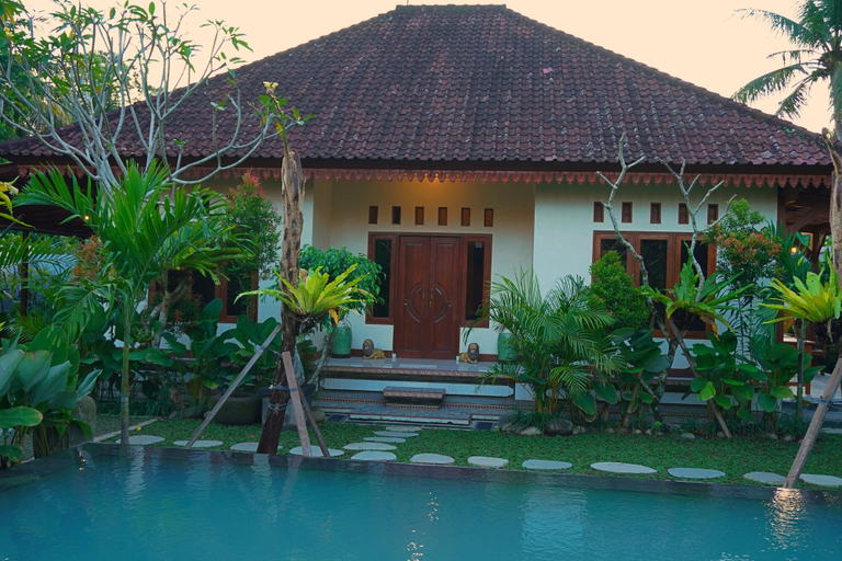 View from room, Sang Mong Ubud, Gianyar