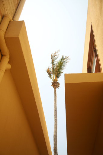 Exterior 2, Lahaina Hotel, Amontada