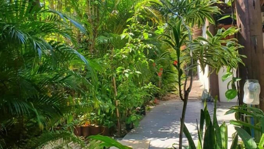 Property grounds 3, Corais Do Sul, Porto Seguro