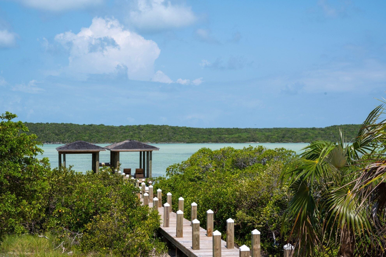 Miscellaneous 2, Turtle Pointe - Lux New Windermere Home W/pool, Boat Dock, Beach 3 Bedroom Home