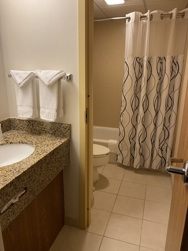 Bathroom 3, The Lodge at Wisp Resort, Garrett
