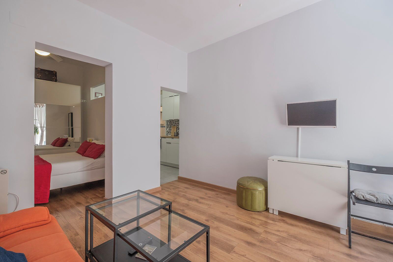 Others 2, Apartment in the Center of Madrid, Madrid