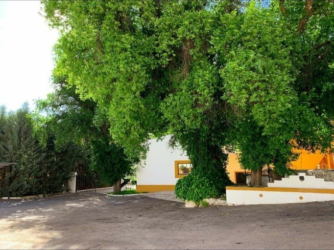 Exterior 5, Casa rural Cortijo Las Huertas, Jaén