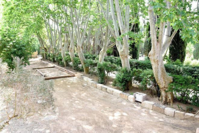 Property grounds 3, Domaine de Grand Fidele, Aude