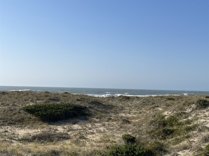 Miscellaneous, Time / Tide 4 Bedroom Cottage by RedAwning, Dare
