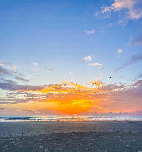 Beach 1, Oceanwalk 11-603, Volusia
