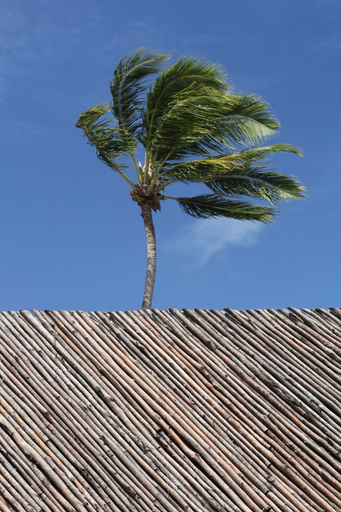 Exterior & Views 2, Origem Patacho Design Hotel, Porto de Pedras