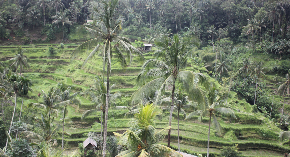 Point of interest 2, Vila Padma Bali - A Trishula Collection, Gianyar