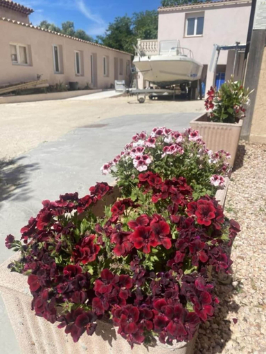 Exterior & Views, Appart Hôtel Sous les pins, Bouches-du-Rhône