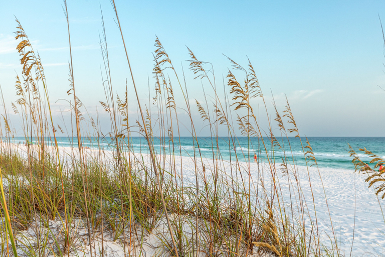 Beach 2, Surfside 0708a 2 Bedroom Condo, Walton