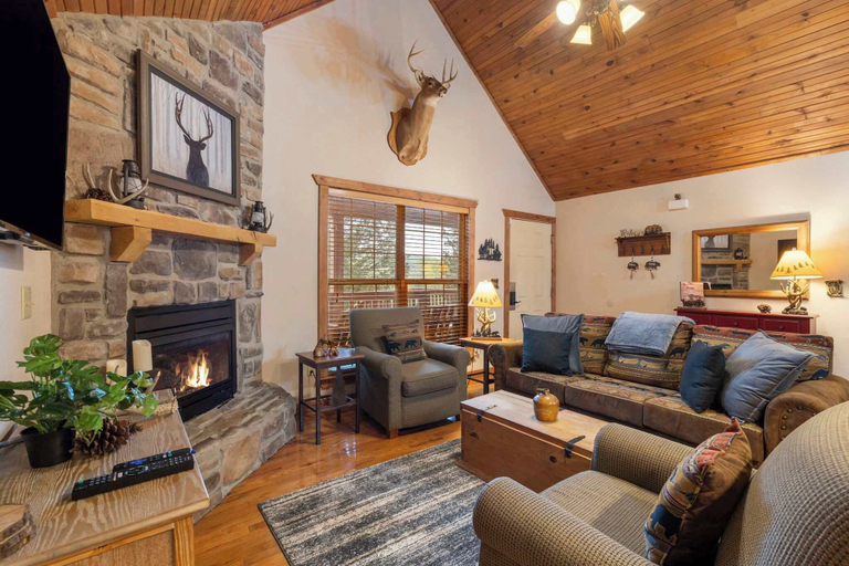 Others 4, Simons Treetop Cabin 2 BDR in Popular Resort!, Stone