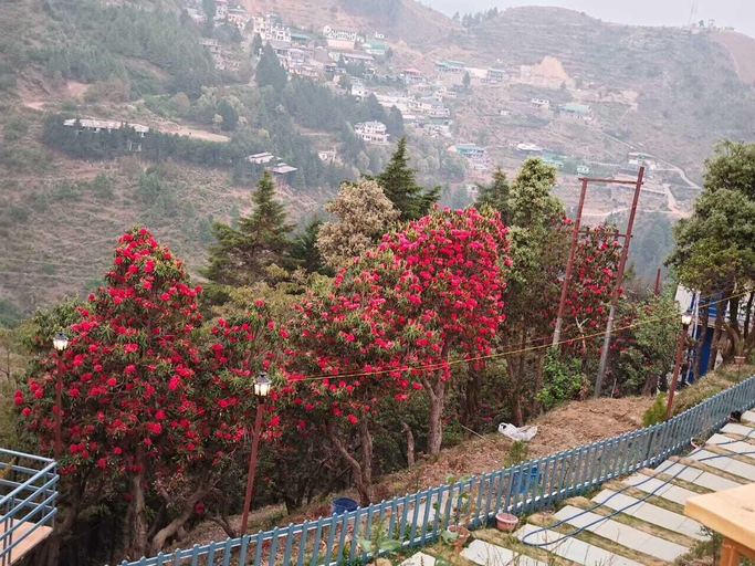 Others 5, Shivalik View Resort, Dehradun