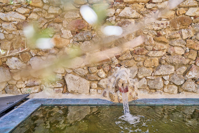 Pool 4, Casa Oliva by gaiarooms, Salamanca