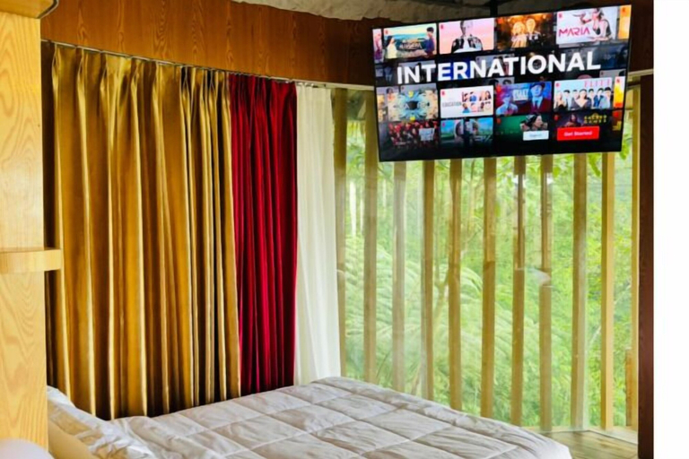 Room 2, Forest 101, Real