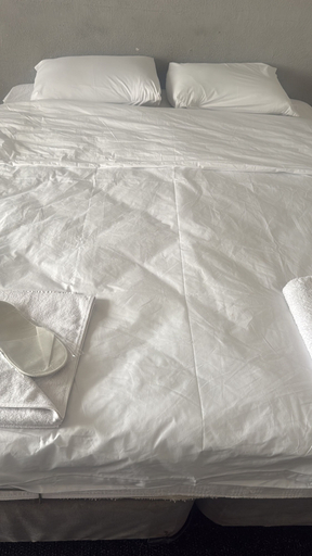 Bedroom 5, Sürücü oteli, Milas