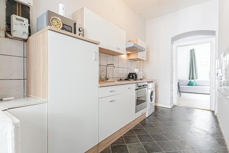 Private kitchen 5, Cozy 2BR 1LR Apt Near Westbahnhof, Wien
