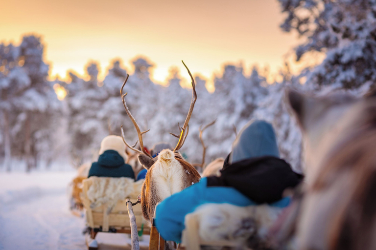 Safari 2, Sielikkö Aurora Log Villas, Lapland