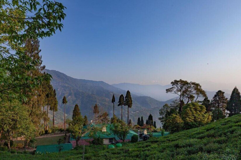 Mountain view 3, YuleTea Retreat A Premium Heritage Hotel, Darjiling