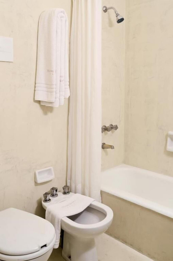 Bathroom 4, Hotel Presidente, General Pueyrredón