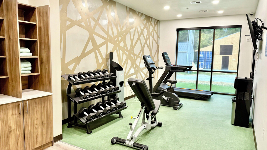 Gym 3, Sleep Inn & Suites, Cheatham