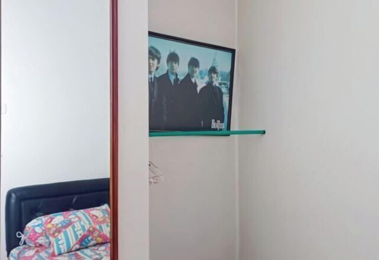 Television