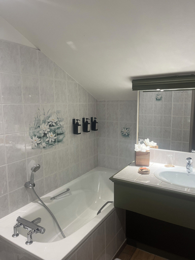 Bathroom 5, L'Arborescence, Haute-Savoie