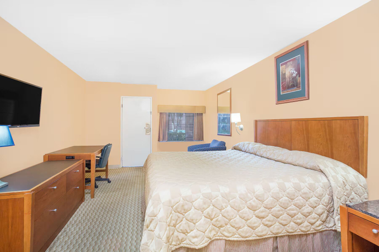 Room 5, Oasis Inn, Tom Green