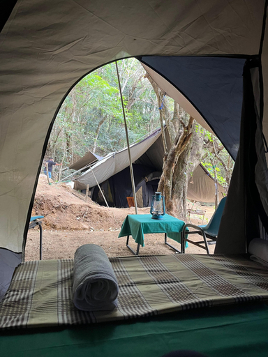 Interior detail 4, Wild Paradise Camp, Imbulpe