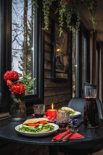 Food & Drinks 4, Aava Riverside, Lapland