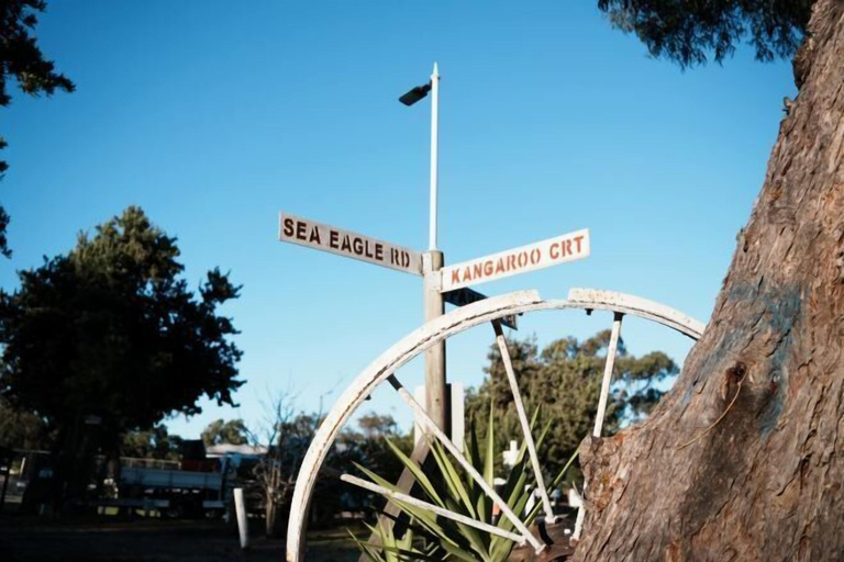 Miscellaneous 3, Roseneath Holiday Park, Wellington - Avon