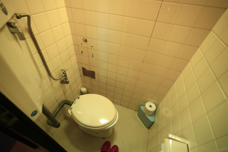 Bathroom 3, Grand Hotel Taiyo, Minamibōsō