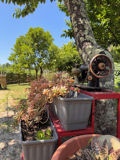 Exterior 5, Quinta Vale Salgueiro, Seia