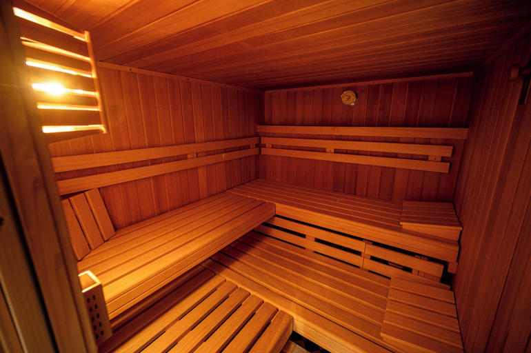 Sauna 3, die AlpenRose, Bludenz