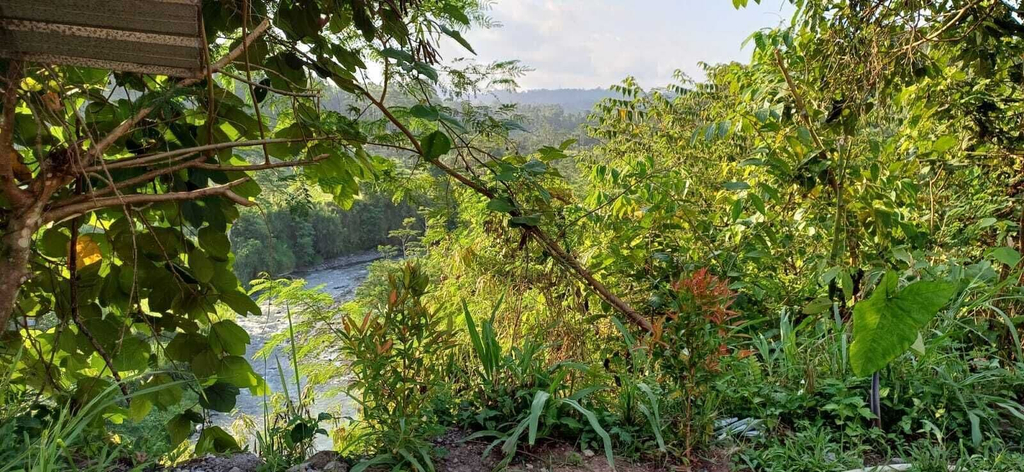 Exterior 5, The green Sidemen, Karangasem