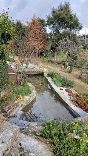 Exterior 4, Bosque da Fantasia, Baião