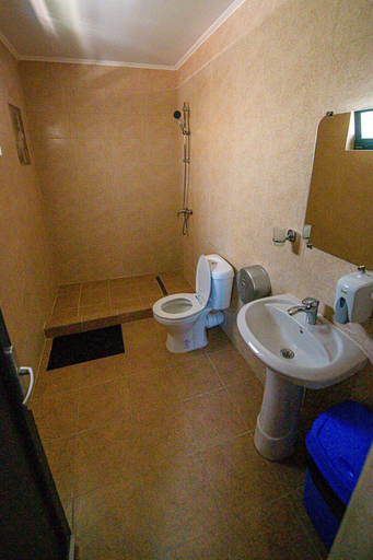 Bathroom 3, Pensiunea Domneasca, Pitesti