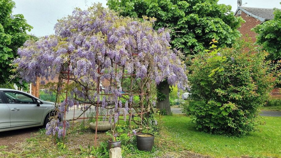 Garden 5, Le petit Château Avesnois, Nord