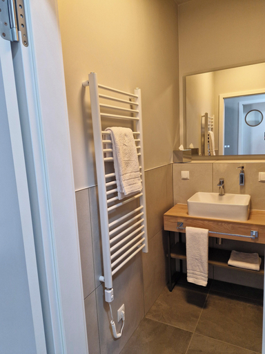 Bathroom 2, H24 Parkhotel Thale, Harz