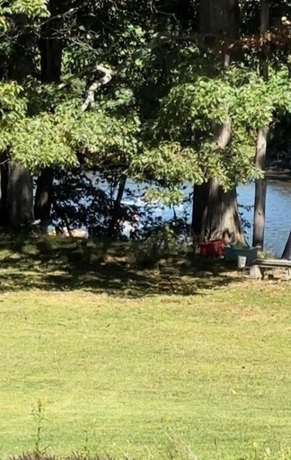 Miscellaneous 5, Sidney Lodging 3 Bedroom Home, Delaware
