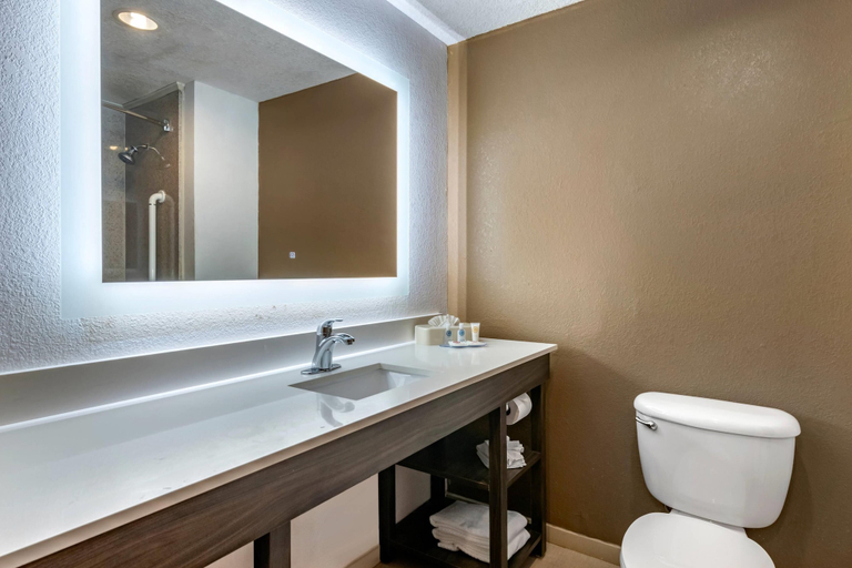 Bathroom 5, Comfort Suites Fort Pierce I-95, Saint Lucie