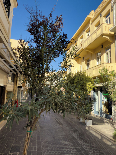 Exterior 4, Deluxe Center Suites, Crete