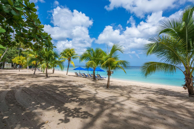 Beach 4, Coral Gables 3 Bedroom Home
