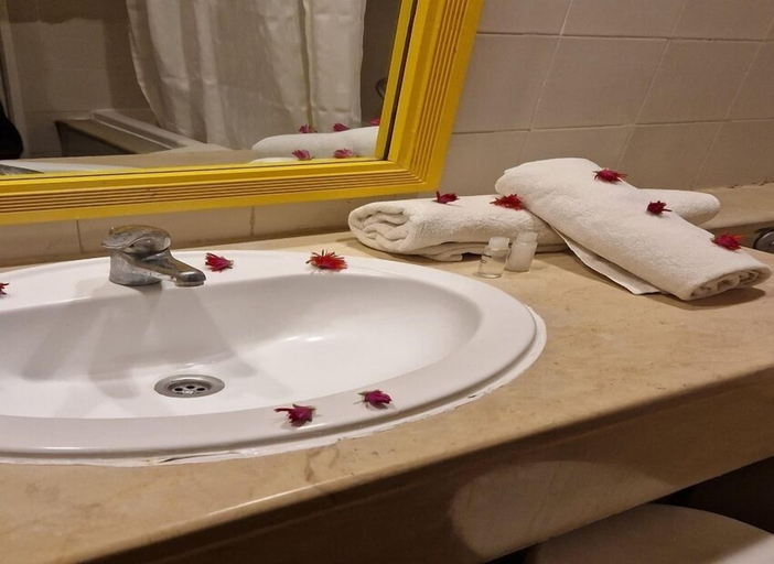 Bathroom 5, Regency Hammamet, Hammamet